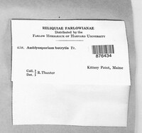 Image Associated With the Occurence